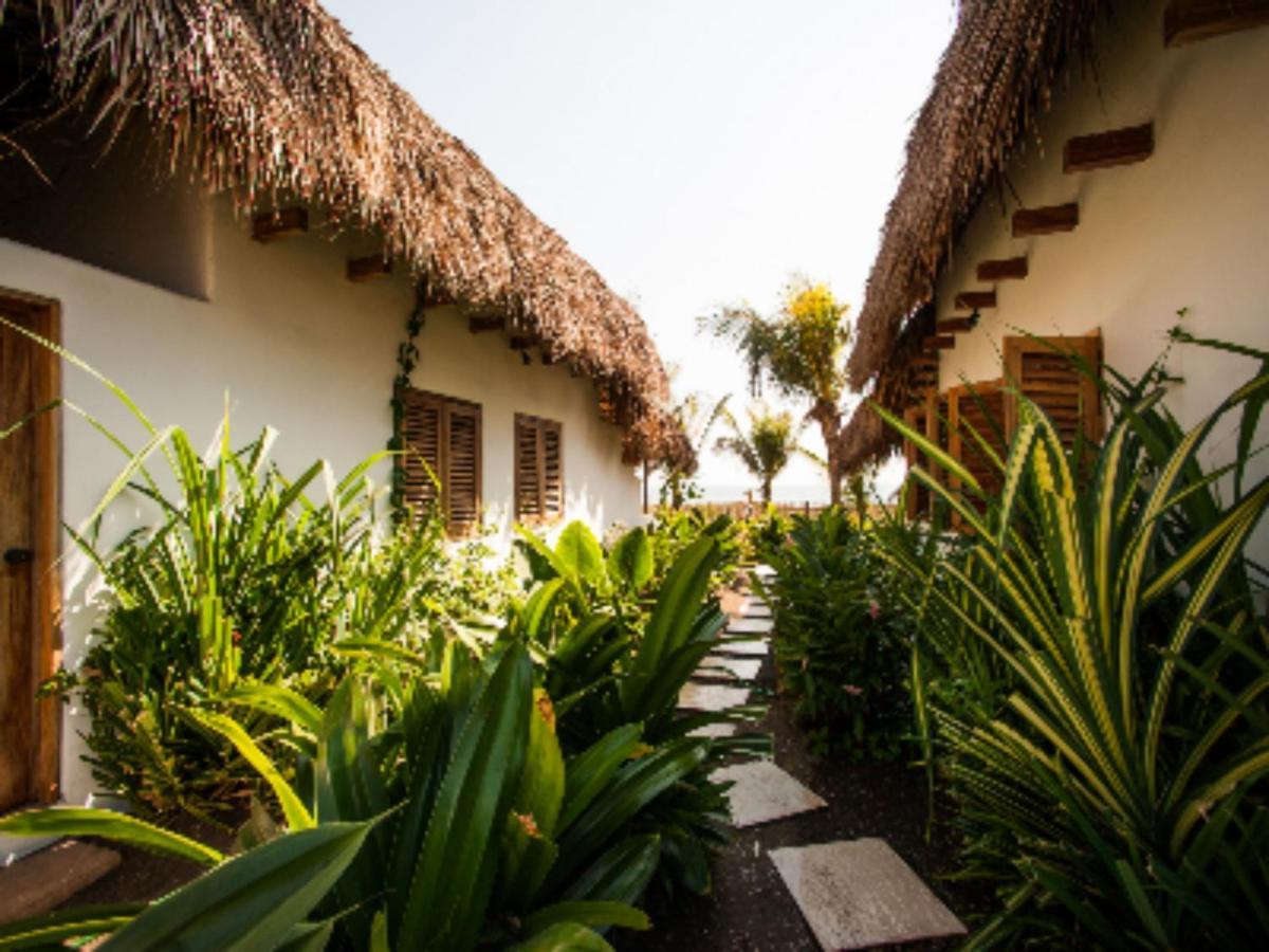 Paredon Surf House Hotel El Paredón Buena Vista Eksteriør billede