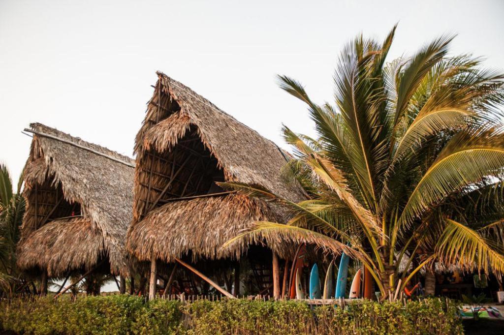 Paredon Surf House Hotel El Paredón Buena Vista Værelse billede