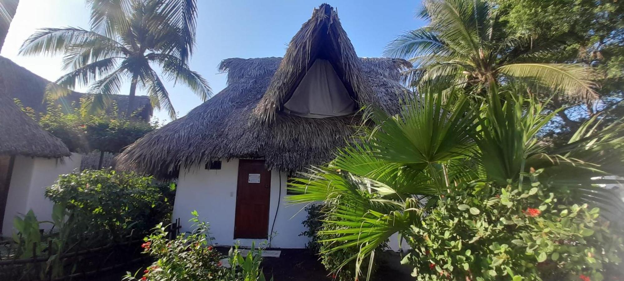 Paredon Surf House Hotel El Paredón Buena Vista Eksteriør billede