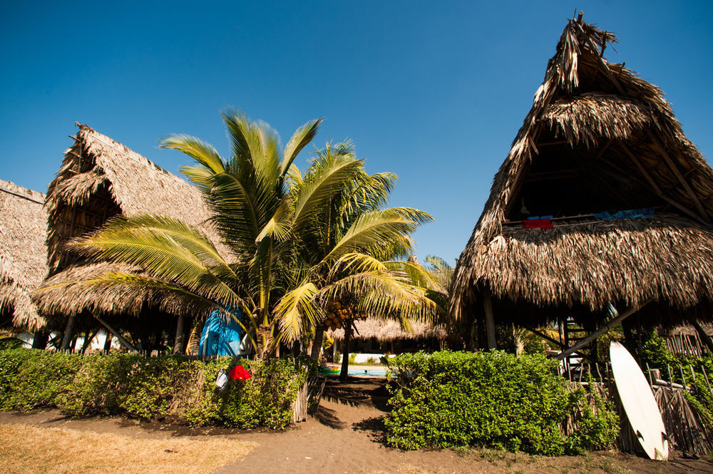 Paredon Surf House Hotel El Paredón Buena Vista Eksteriør billede